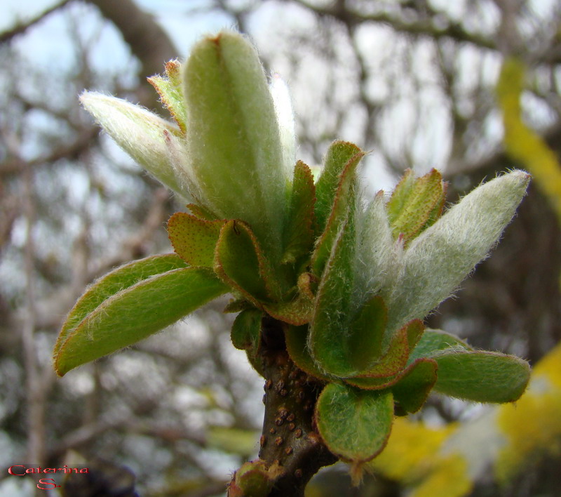 Aria di primavera...